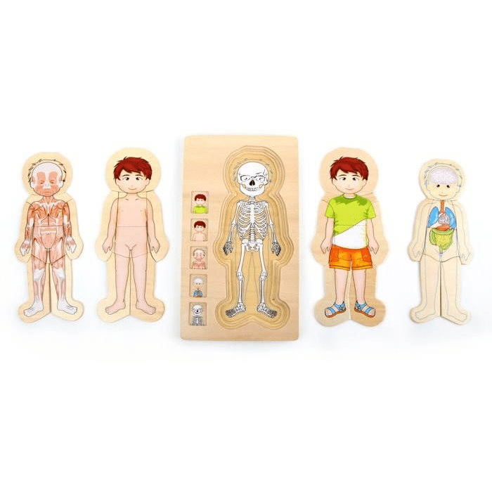 Puzzle - Anatomy Tim (4020972058423) - Nurse Spaghetti